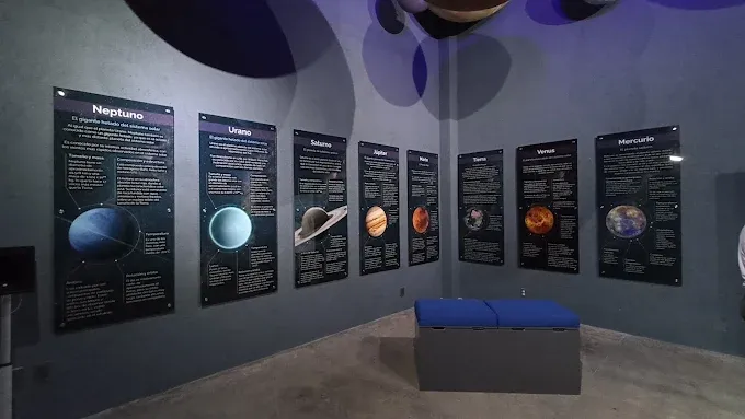 Imagen de galería 7